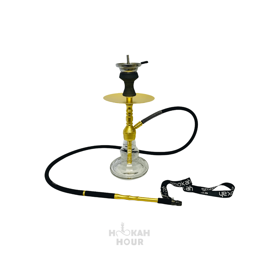 GAMMA Hookah 20”( Stainless Steel )